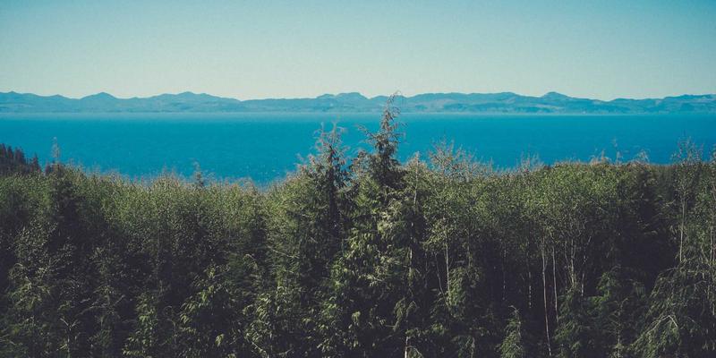 上海夜未央:当演出散场、KTV声歇,这些凌晨飘香的面包坊正温暖着城市夜归人