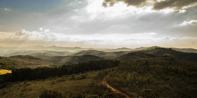 夜上海璀璨明珠：黄浦江夜游船票购买全攻略与沉浸式体验对比