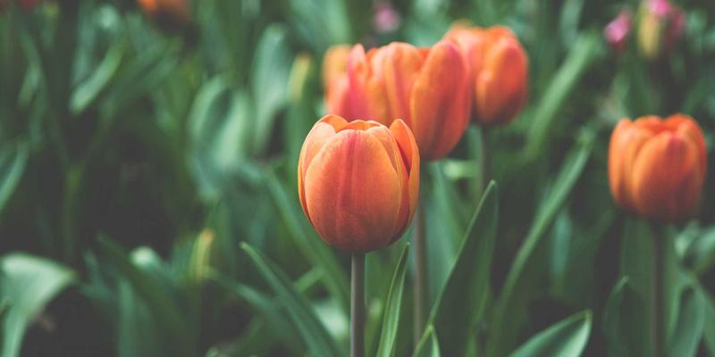 夜上海的另一面:逃离光污染,在崇明与滴水湖邂逅城市边缘的璀璨星空
